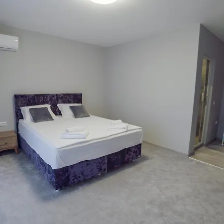 La Mansion 3* ロゼネッツ