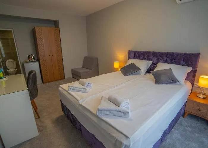 La Mansion ゲストハウス ロゼネッツ